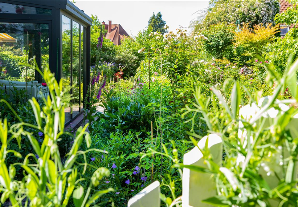 Gartenarbeit im August: Tipps und Tricks für einen bunten Sommer