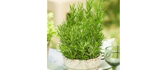 10 IDEEN ZUM VALENTINSTAG