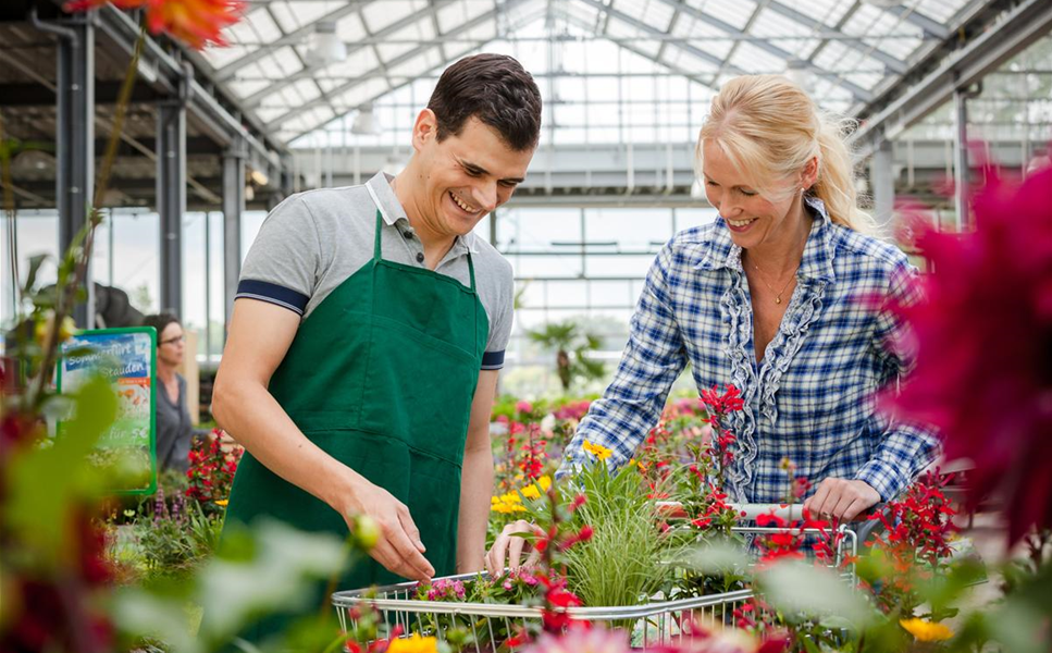 DEIN VORTEIL - JETZT BONUSKUNDE WERDEN DEIN VORTEIL - JETZT BONUSKUNDE WERDEN