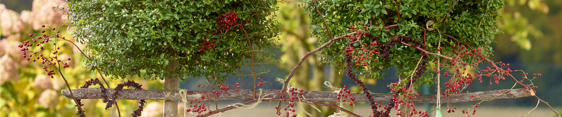 LECKERBISSEN FüR VöGEL