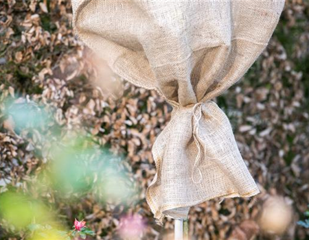  WINTERSCHUTZ IM BEET UND VOR DER TüR 