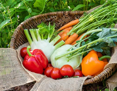 Anzucht: Vor die Tür gesetzt