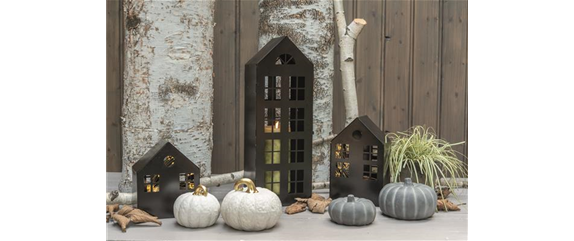 EIN KUNTERBUNTER HERBST!