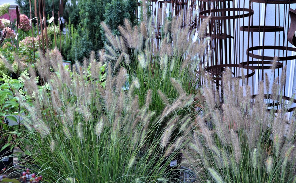 Unser Team - Immer für Sie da!