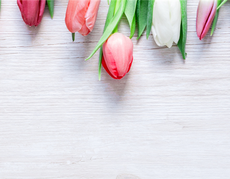 BLUMIGER VALENTINSTAG!