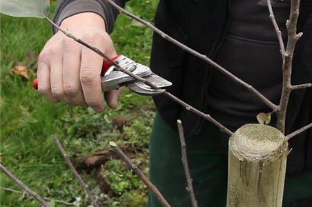OKTOBER - JETZT GIBT ES NOCH MAL VIEL ZU TUN!