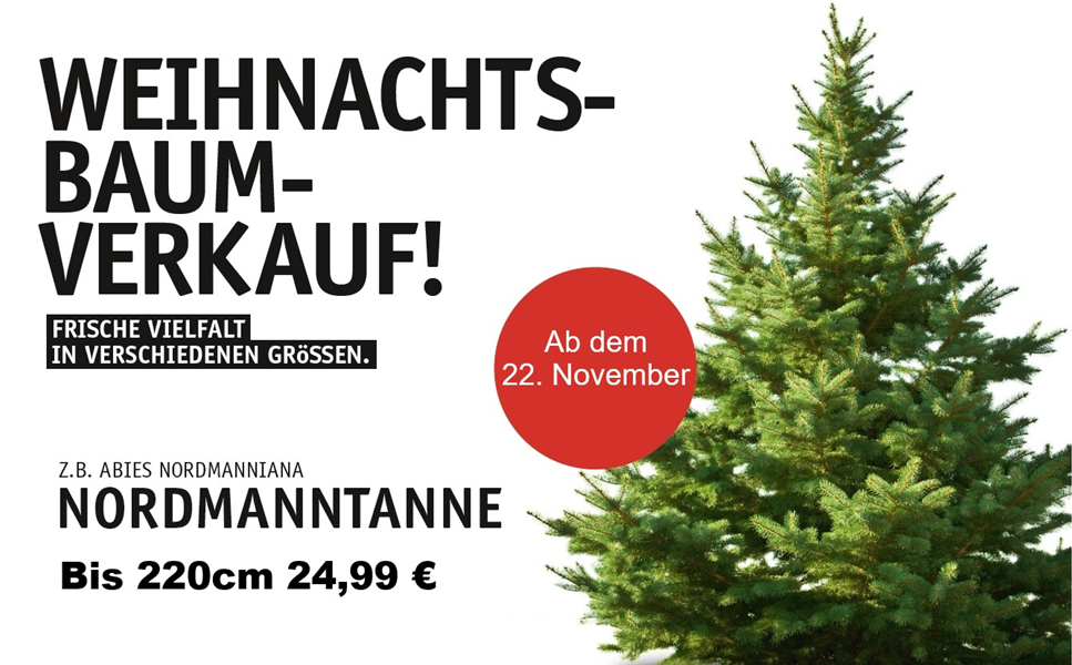 großer - Weihnachtsbaum - verkauf