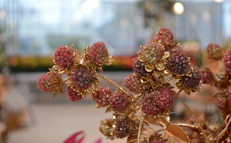 Bis Weihnachten - geänderte Öffnungszeiten