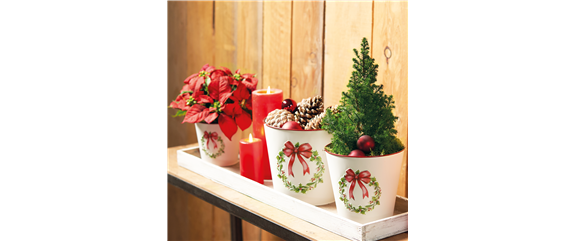 WEIHNACHTEN BEGINNT ZUHAUSE!