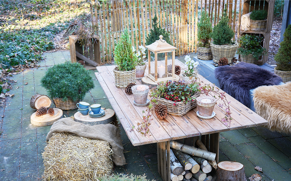 Wintermarkt - verkaufsoffener Sonntag