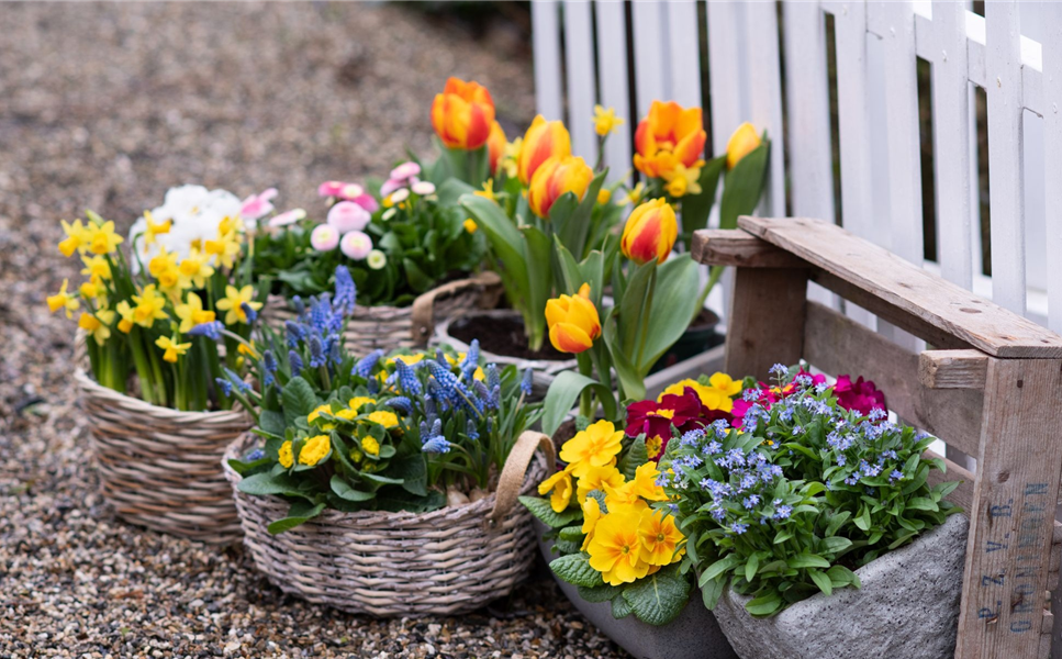 Drei - Länder - Markt - verkaufsoffener Sonntag