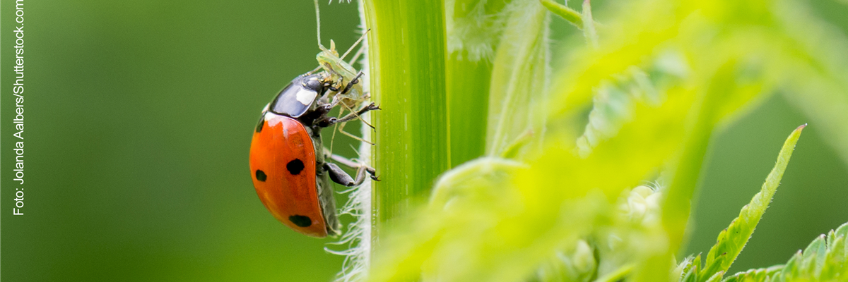 NATüRLICH GESCHüTZT!