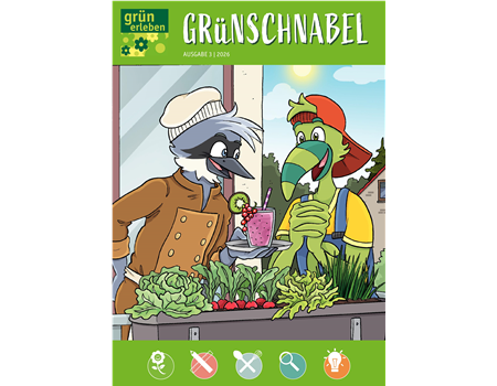Ausgabe 3 2026