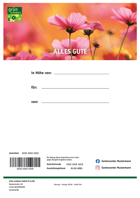 Online Gutschein