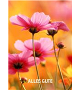 Versand Gutschein